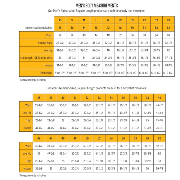 CARHARTT ‘RAIN DEFENDER’ HEAVYWEIGHT HOODIE MEN’S XXL TALL  (2XLT) **NEW - Picture 2 of 3